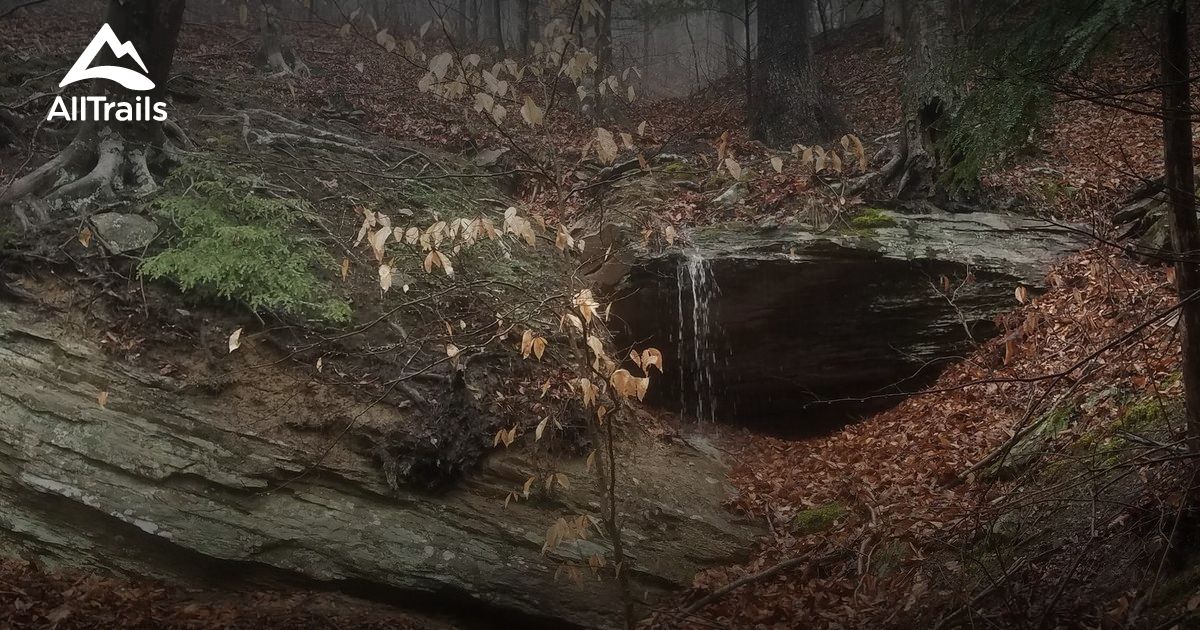 Best Hikes and Trails in Vicco AllTrails