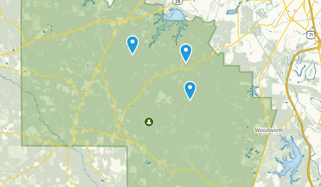 Elmer, Louisiana Map
