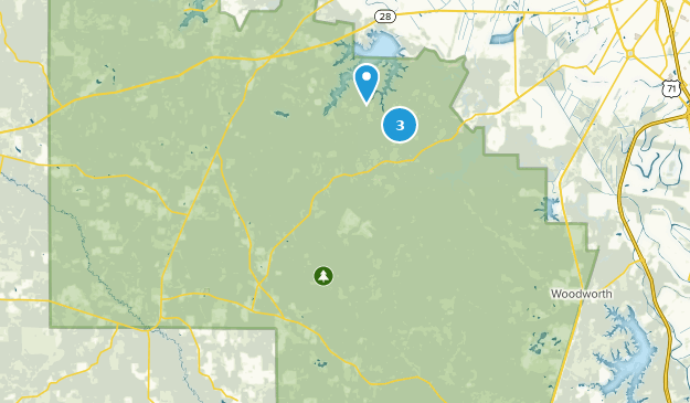 Elmer, Louisiane Map