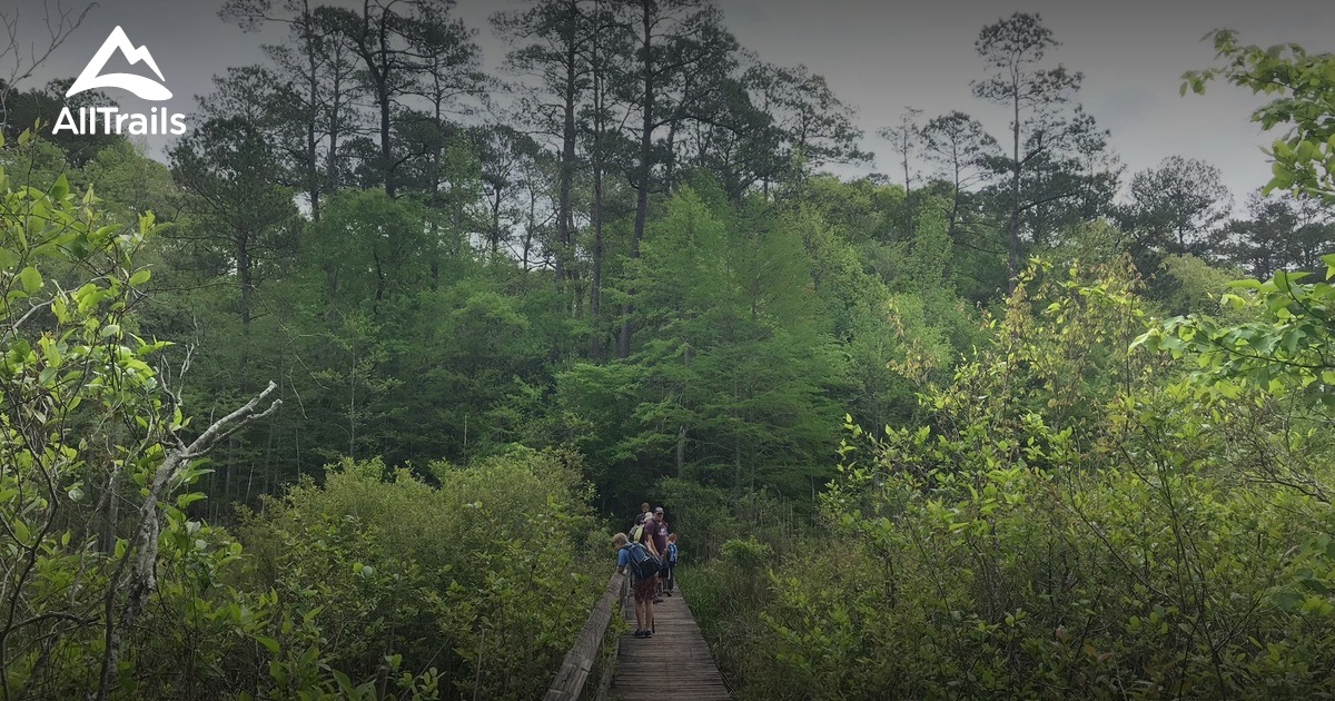 Best hikes and trails in Elmer | AllTrails