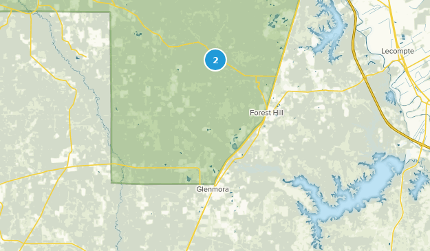 Glenmora, Louisiana Map