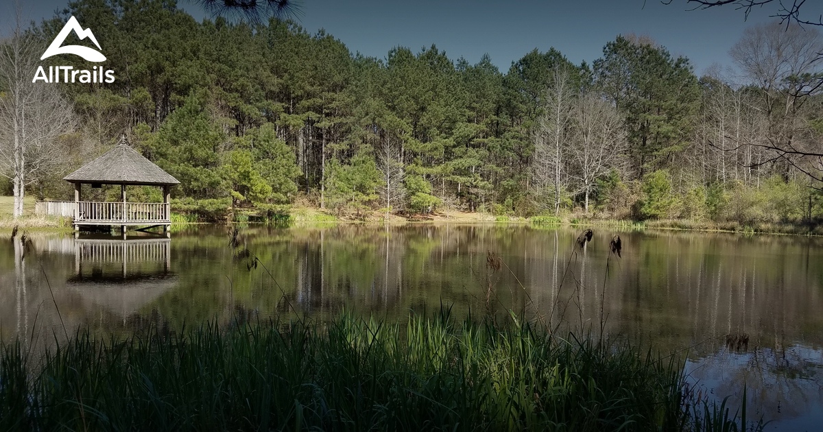 Best hikes and trails in Jackson AllTrails