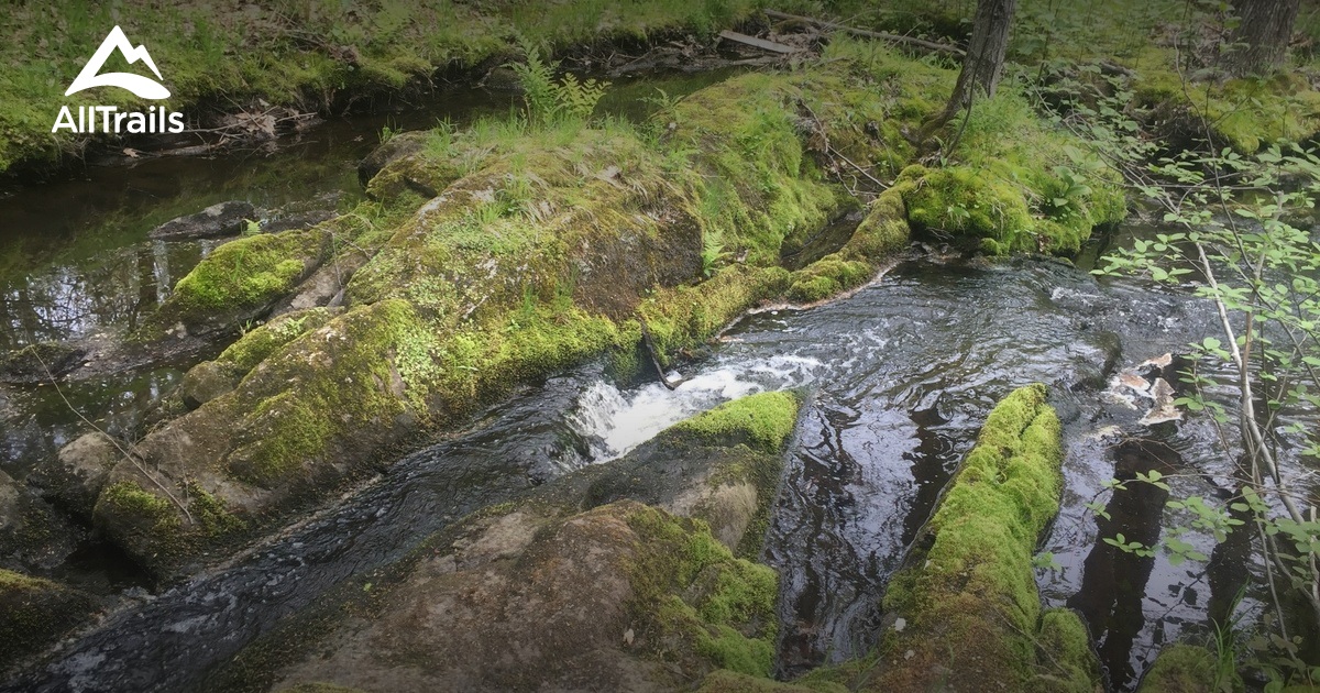 Best hikes and trails in Biddeford AllTrails