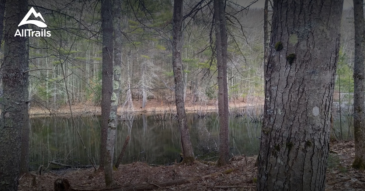 Best hikes and trails in Eliot AllTrails