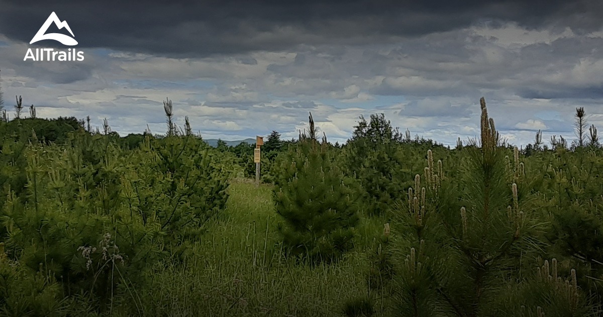 Best trails in Hollis Center, Maine AllTrails