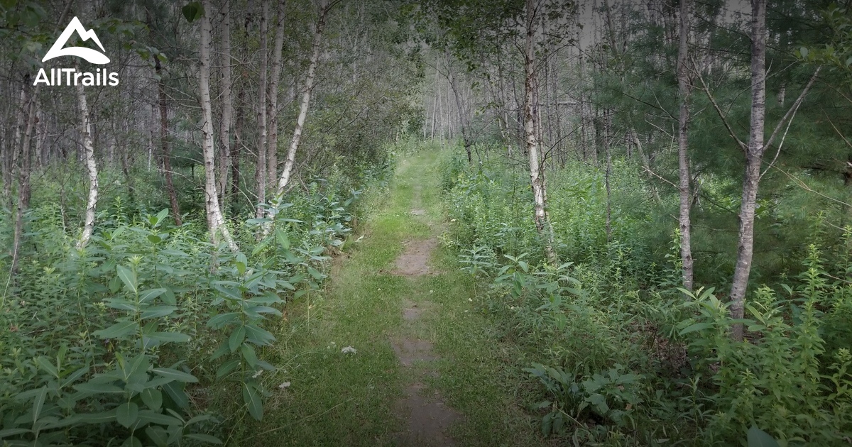 Best trails in Hollis Center, Maine AllTrails