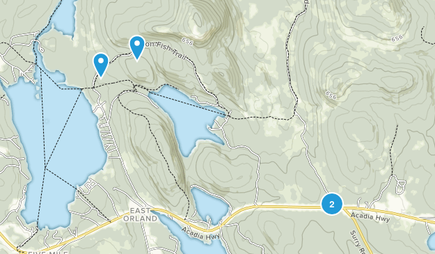 Orland, Maine Map