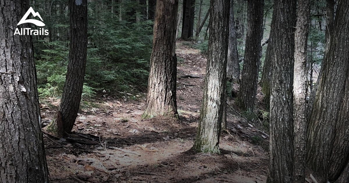 Best hikes and trails in Palermo AllTrails