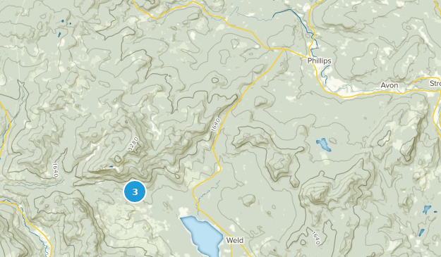 Phillips, Maine Map
