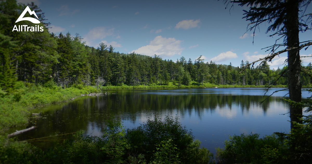 Best Trails near Tunk Lake, Maine AllTrails