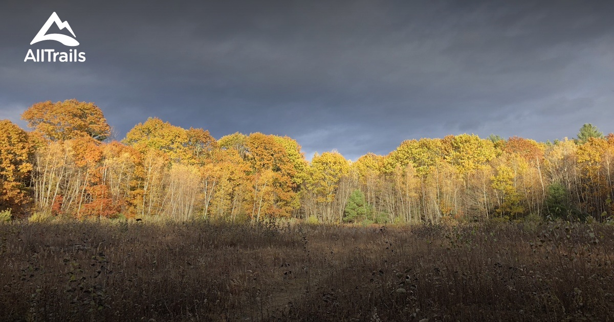 Best lake trails in Vassalboro | AllTrails