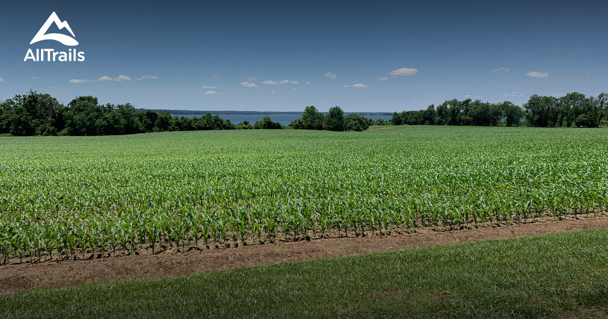 Best hikes and trails in Broomes Island AllTrails