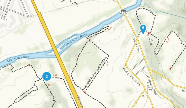 Frederick Junction, Maryland Map