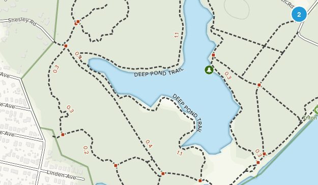 Mayo, Maryland Map
