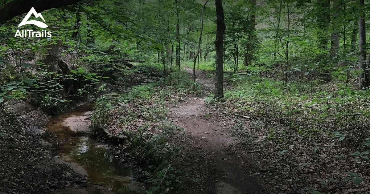 2023 Best Forest Trails in Ridgely AllTrails
