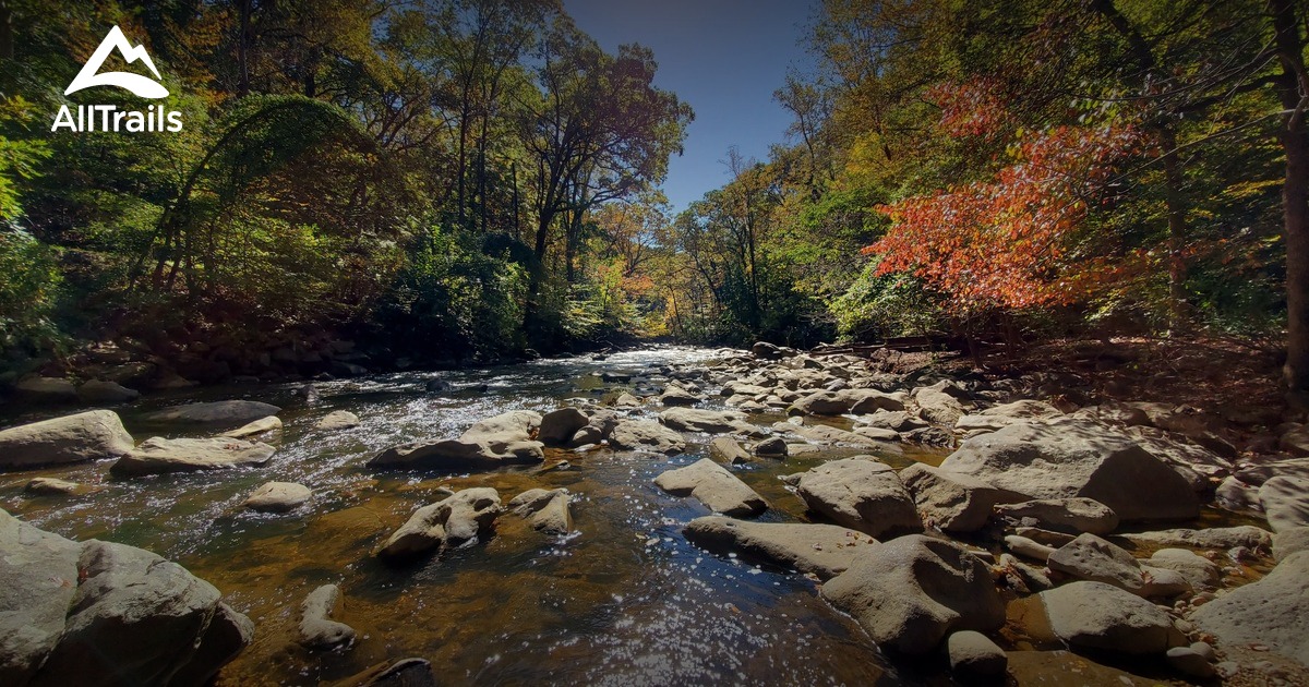 Best Trails, Walks, and Paths in Takoma Park AllTrails