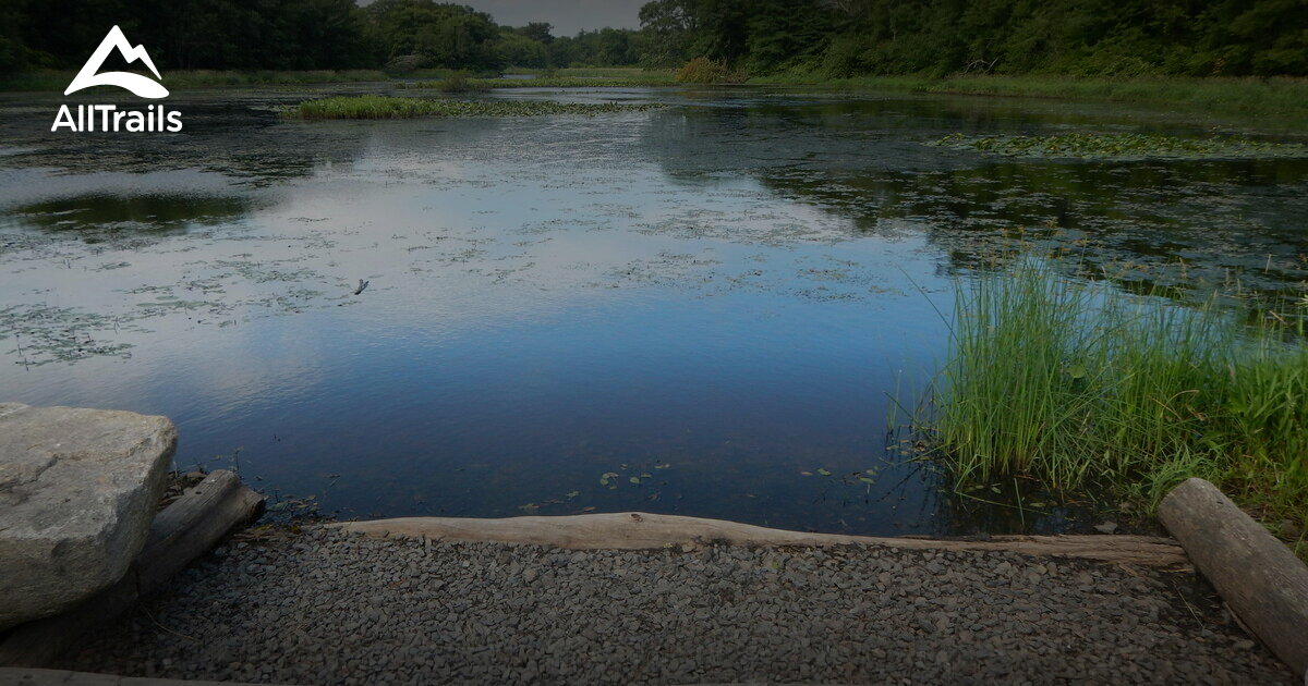 Best walking trails in AllTrails