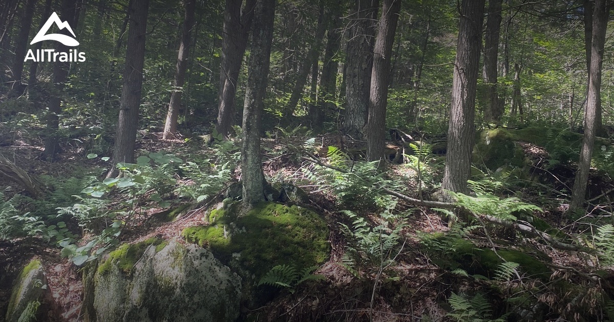 Best hikes and trails in Blandford AllTrails