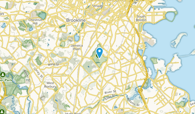 Forest Hills, Massachusetts Map