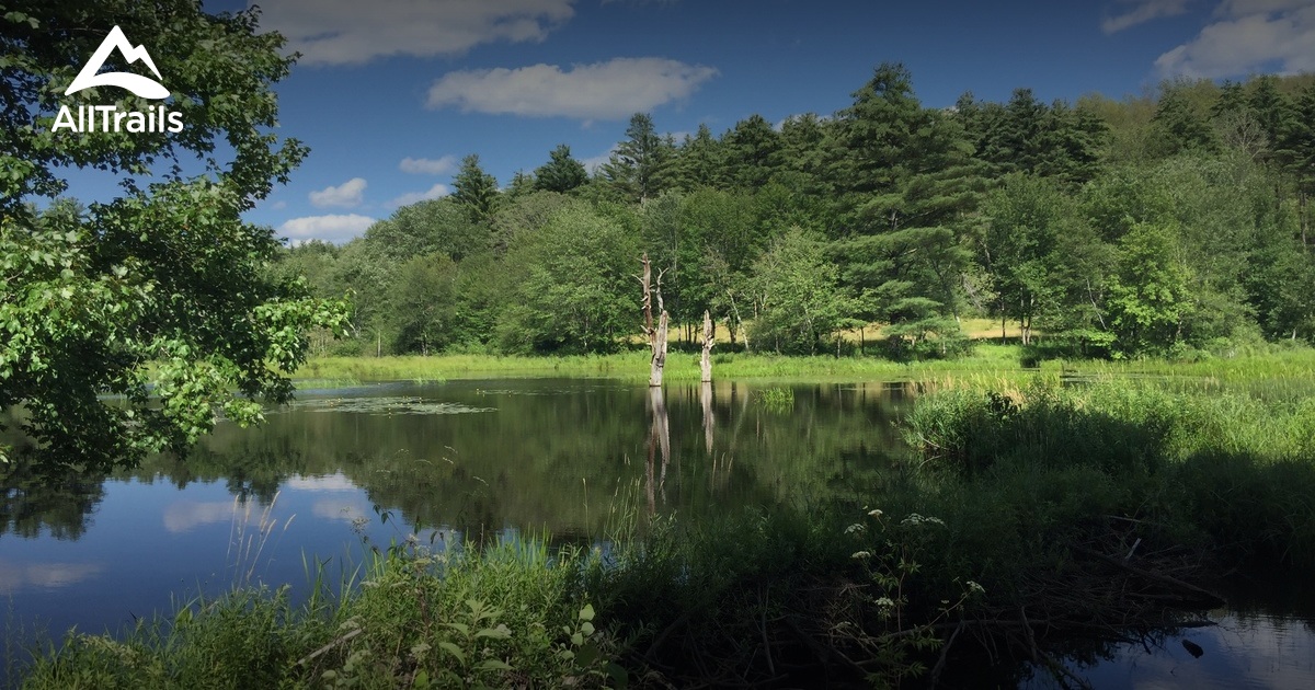 Best Trails near Monson, Massachusetts AllTrails