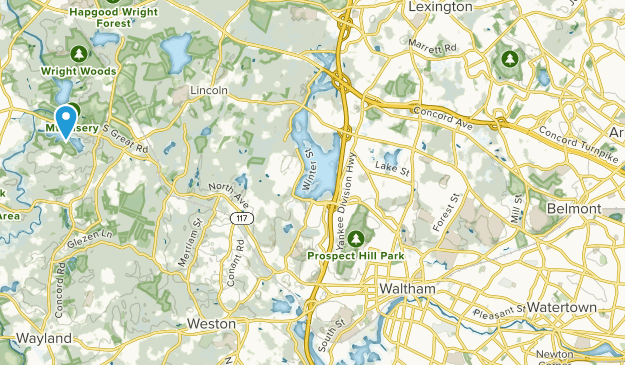 Waverley, Massachusetts Map