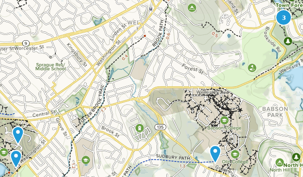 Wellesley Hills, Massachusetts Map