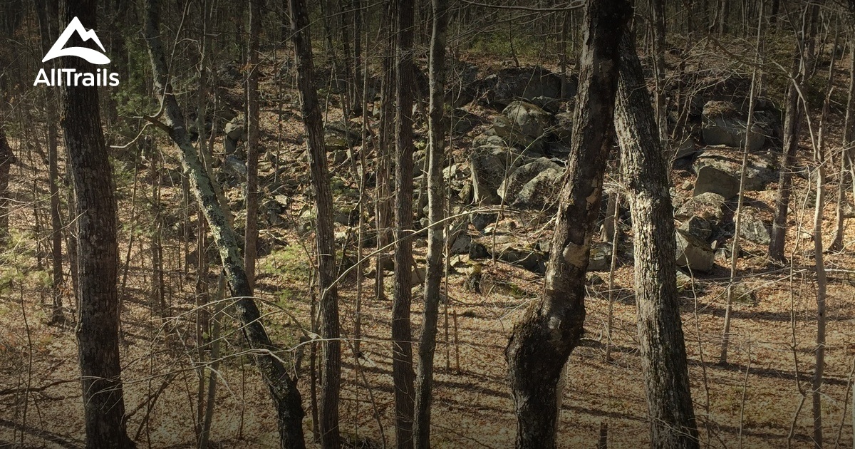 Best Hikes and Trails in West Hatfield AllTrails