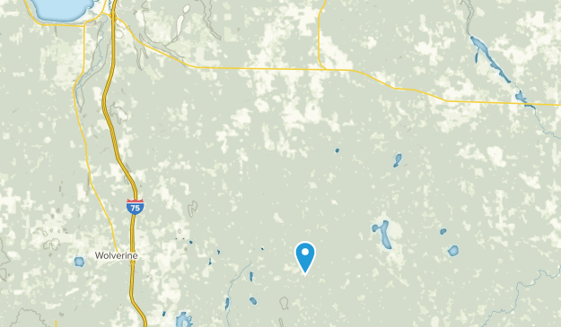 Afton, Michigan Map