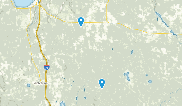 Afton, Michigan Map