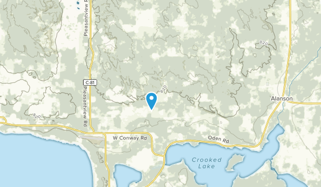Alanson, Michigan Map