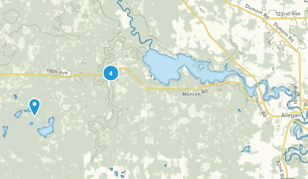 Allegan, Michigan Map