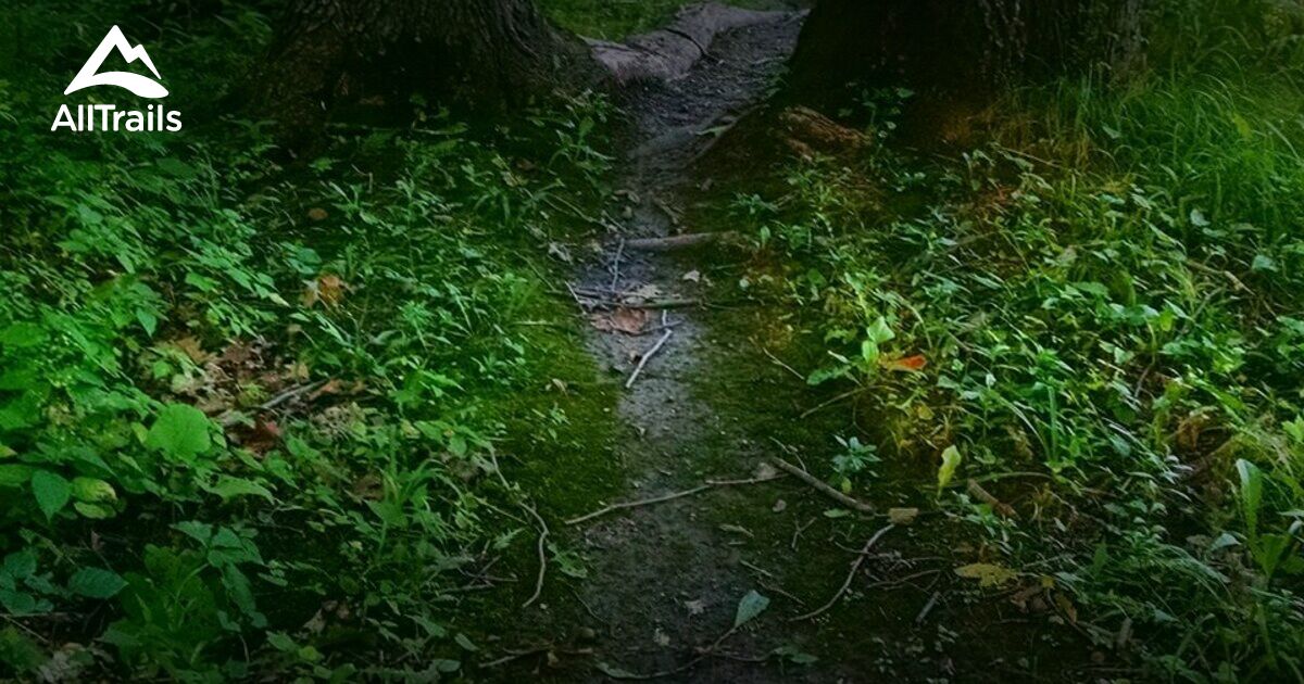 Best forest trails in Avoca AllTrails