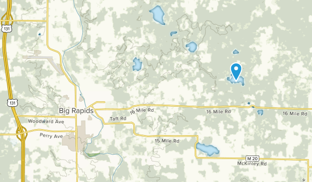 Big Rapids, Michigan Map