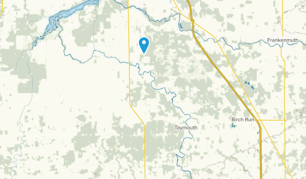Burt, Michigan Map