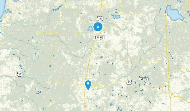 Cadillac, Michigan Map