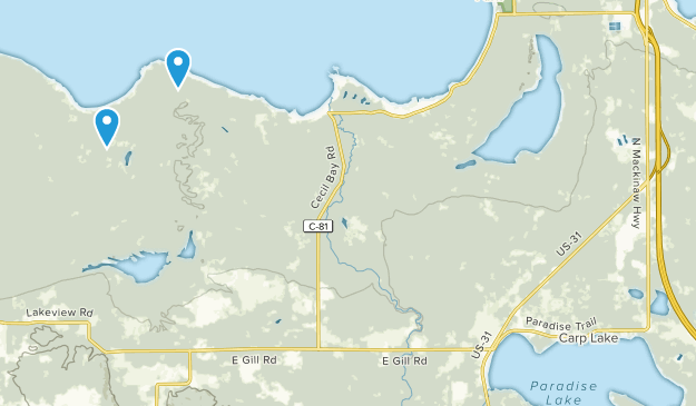 Carp Lake, Michigan Map