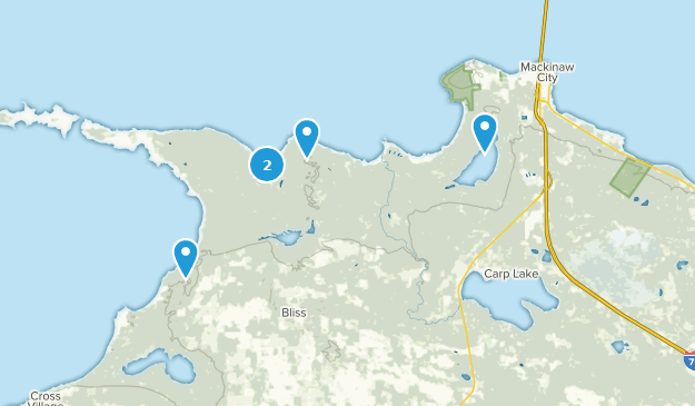 Carp Lake, Michigan Map