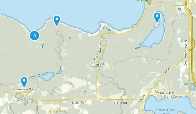 Carp Lake, Michigan Map