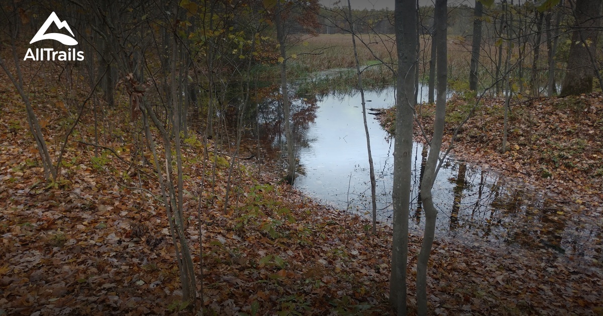 Best hikes and trails in Cedar Springs AllTrails