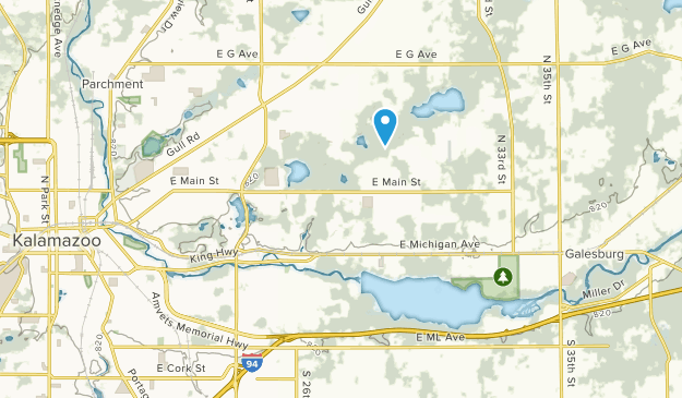Comstock, Michigan Map