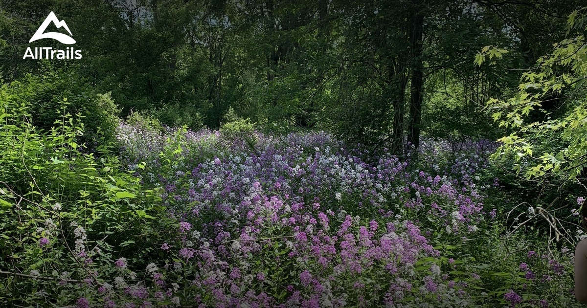 Best hikes and trails in Comstock Park AllTrails