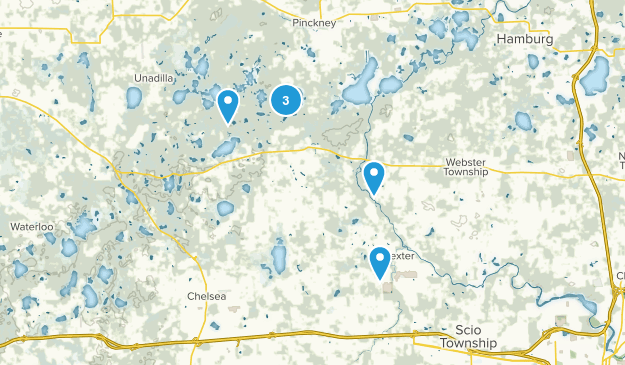 Dexter, Michigan Map