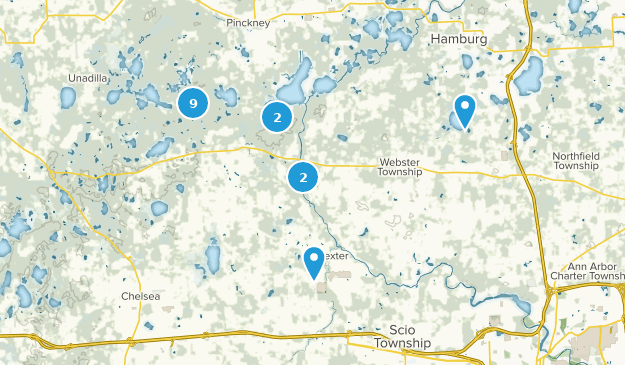 Dexter, Michigan Map