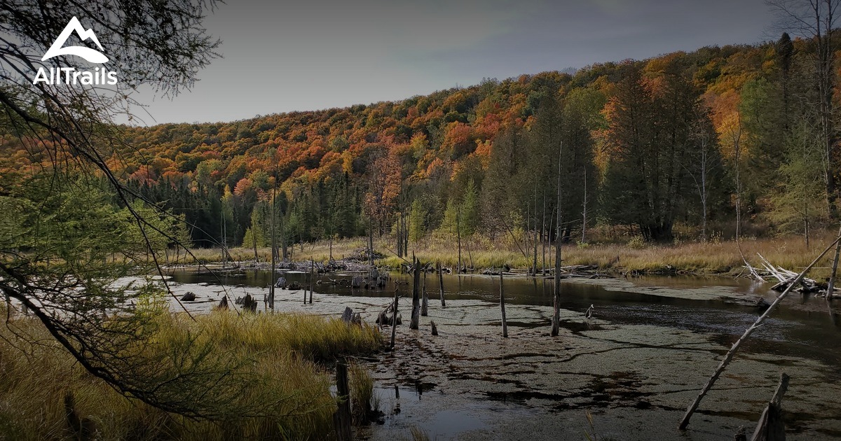 Best hikes and trails in Elmira Township | AllTrails