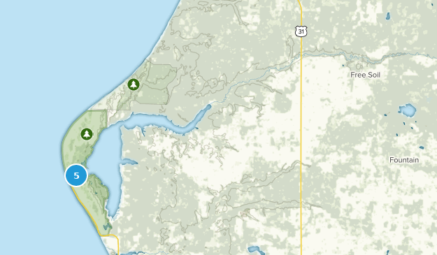Free Soil, Michigan Map