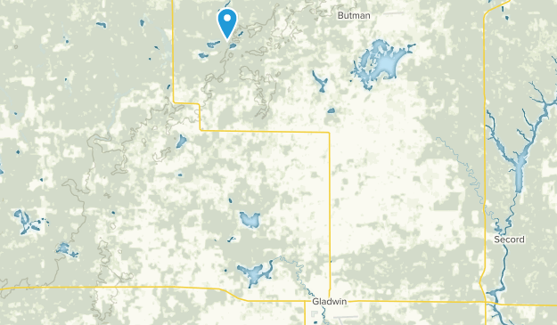 Gladwin, Michigan Map