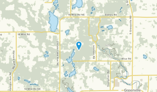 Gowen, Michigan Map