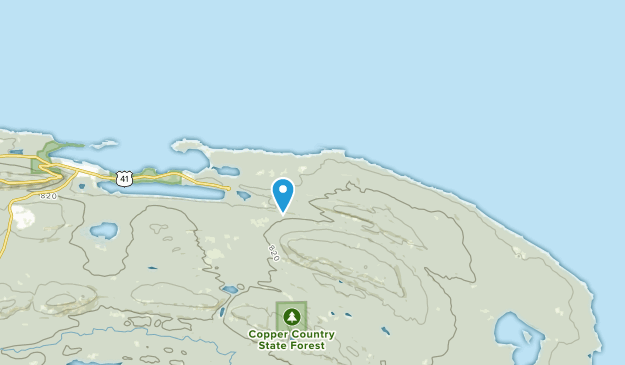 Grant Twp, Michigan Map