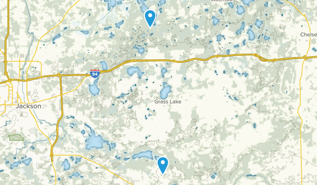 Grass Lake, Michigan Map