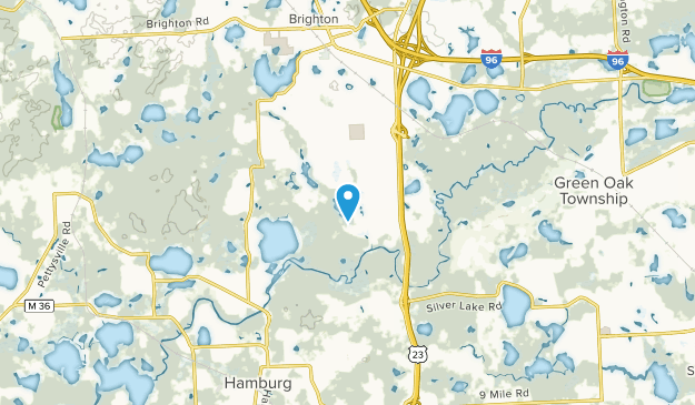Green Oak Twp, Michigan Map
